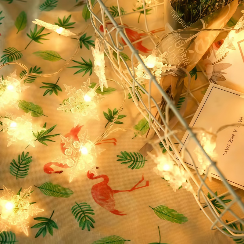 Guirlande lumineuse flocon de  - Outdoor Power For Xmas Lights avis et prix